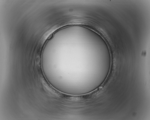 X0000113351465200909291042
