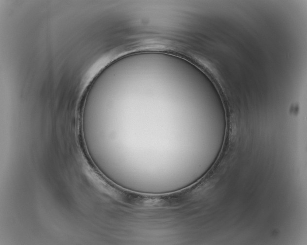 X0000113351467200909291042