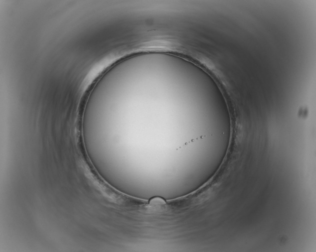 X0000113351469200909291042