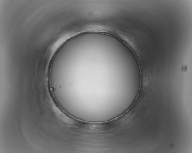 X0000113351471200909291042