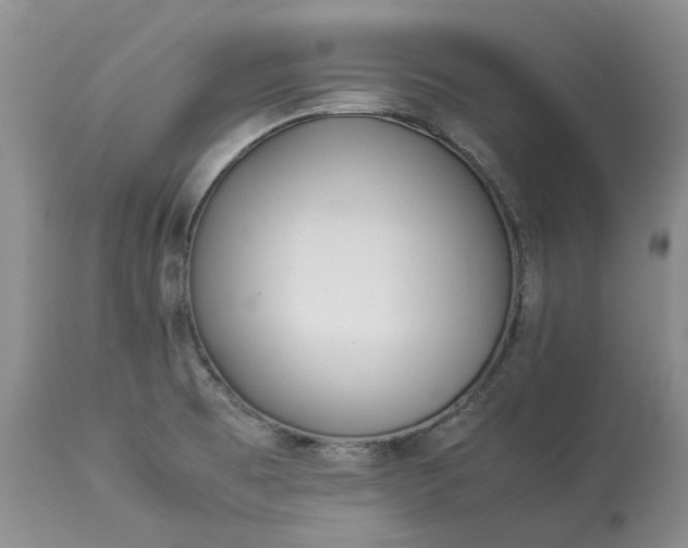 X0000113351473200909291042