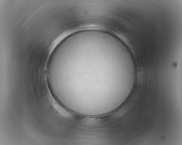 X0000113351474200909291042