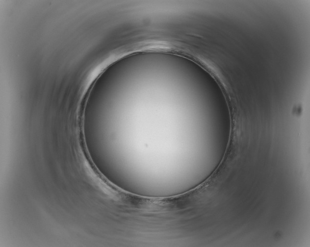 X0000113351475200909291042