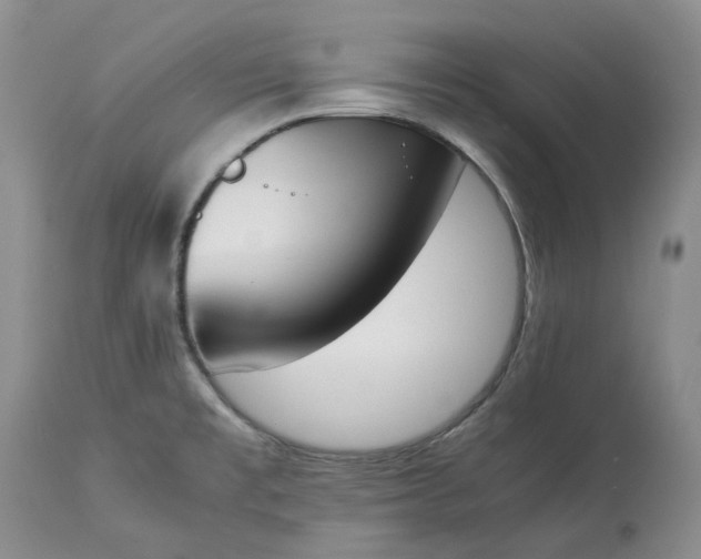 X0000113351477200909291042
