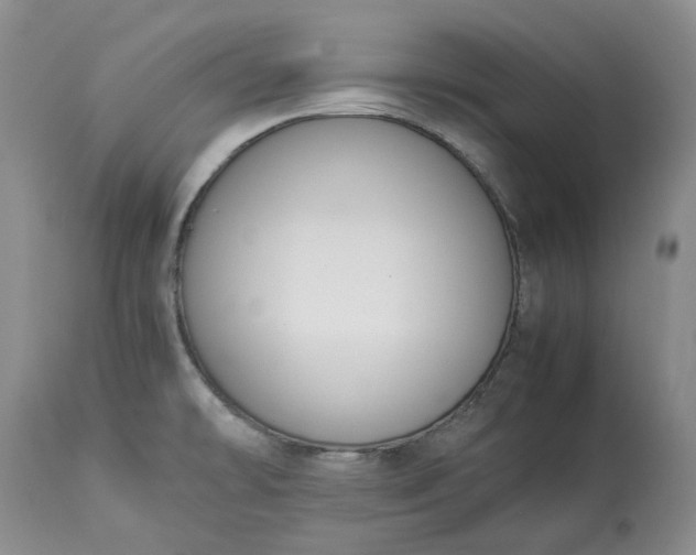 X0000113351478200909291042