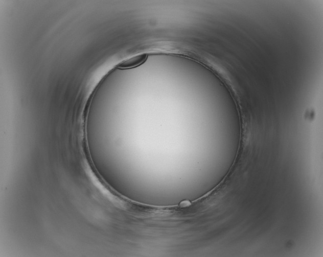 X0000113351479200909291042