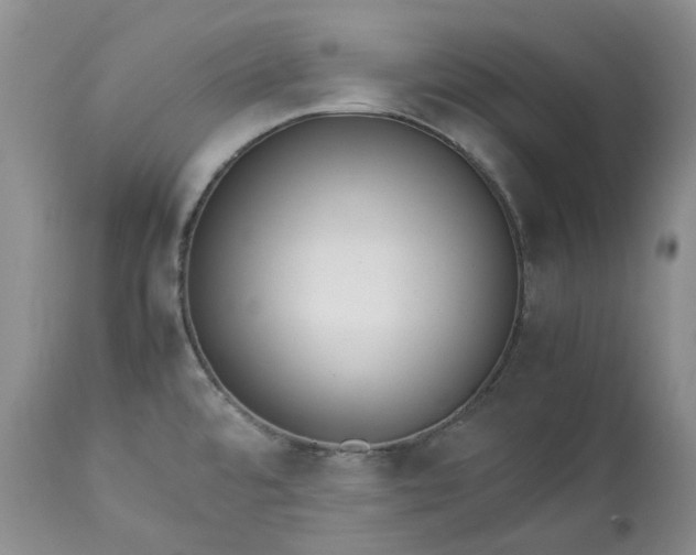X0000113351480200909291042