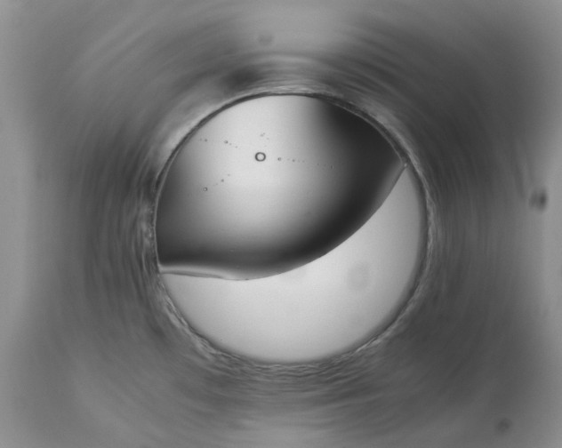 X0000113351481200909291042
