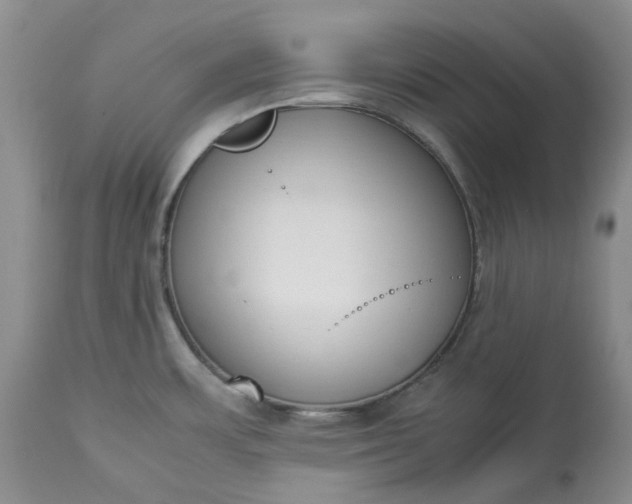 X0000113351483200909291042