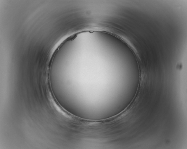 X0000113351484200909291042