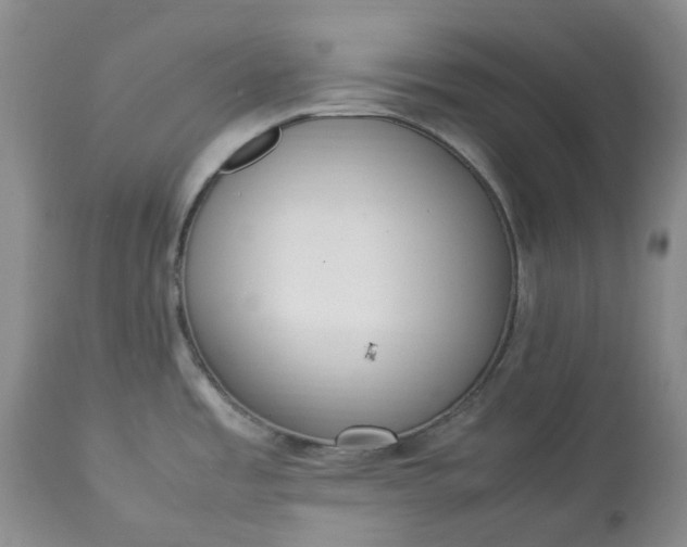 X0000113351485200909291042