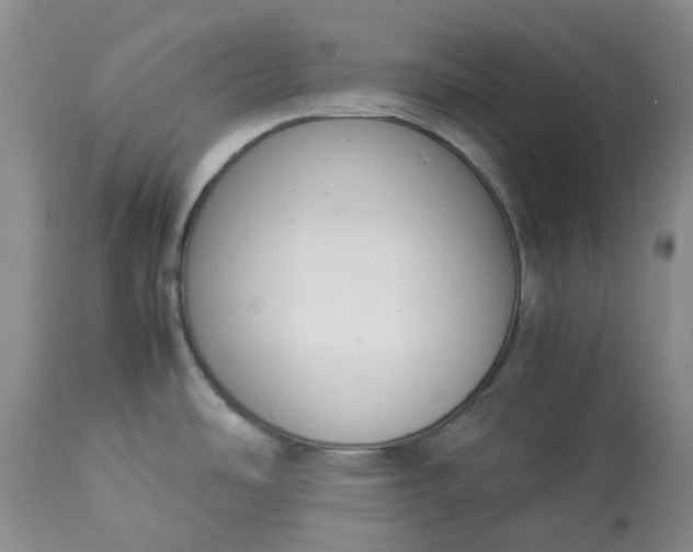 X0000113351486200909291042