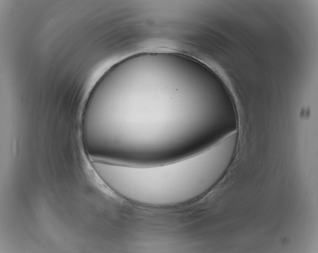 X0000113351488200909291042