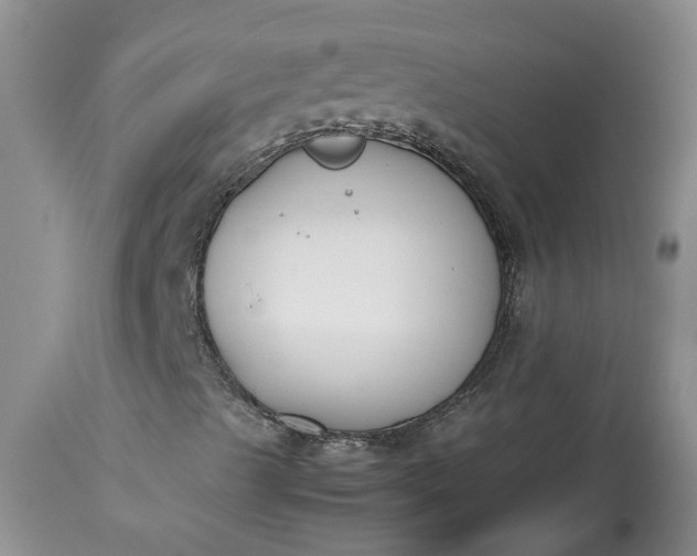 X0000113351489200909291041