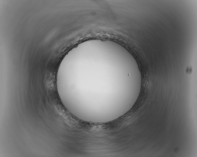 X0000113351490200909291041
