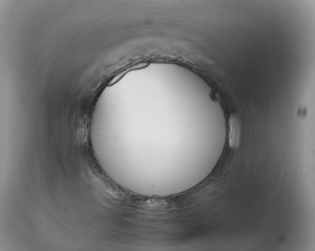 X0000113351491200909291041
