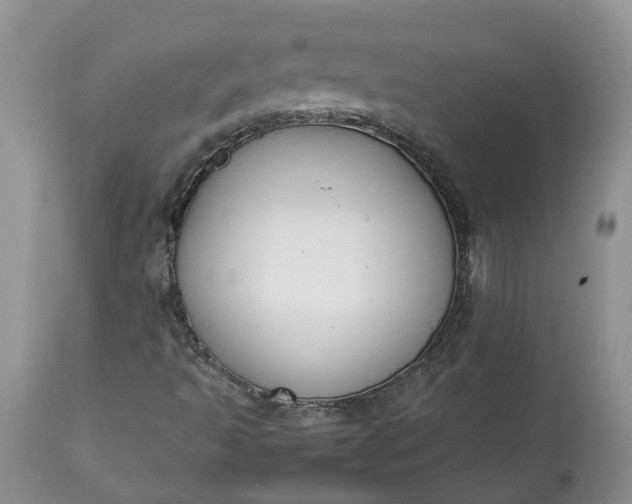 X0000113351493200909291041