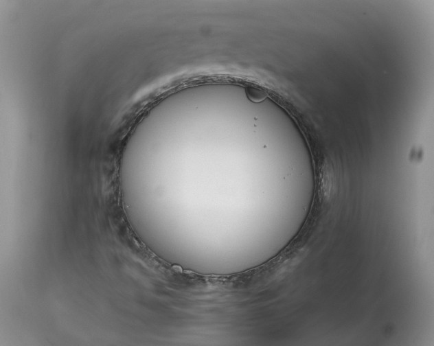 X0000113351494200909291041