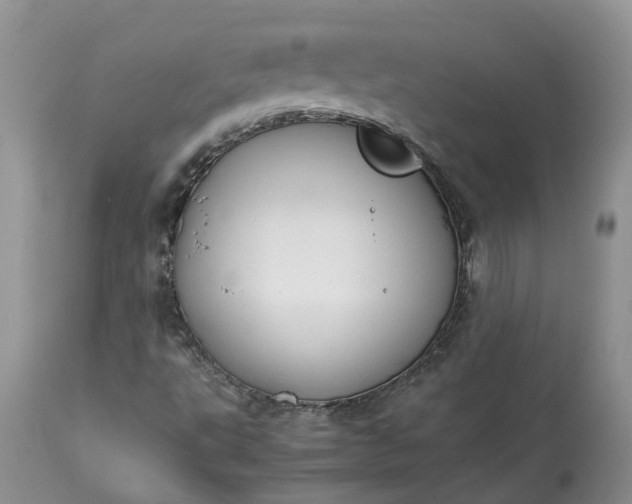 X0000113351495200909291041