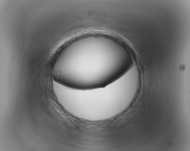 X0000113351496200909291041