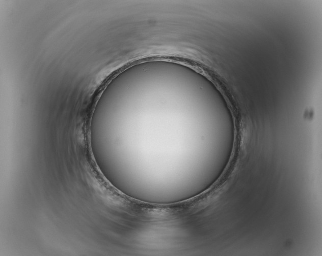 X0000113351497200909291041