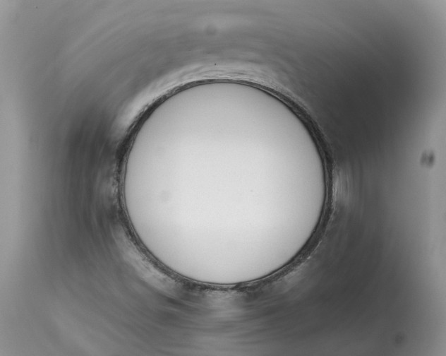 X0000113351498200909291041