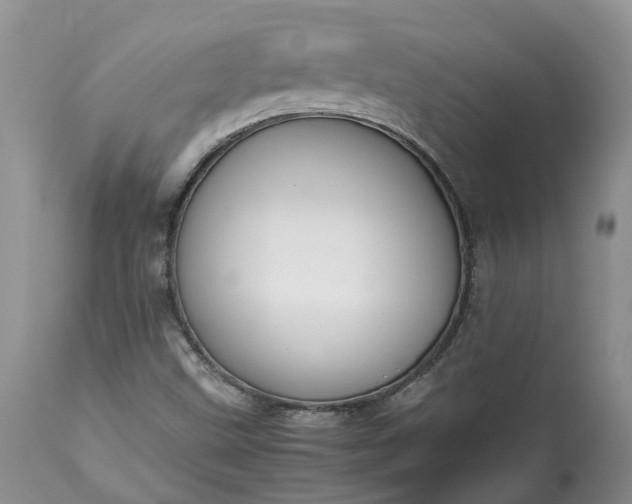 X0000113351499200909291041