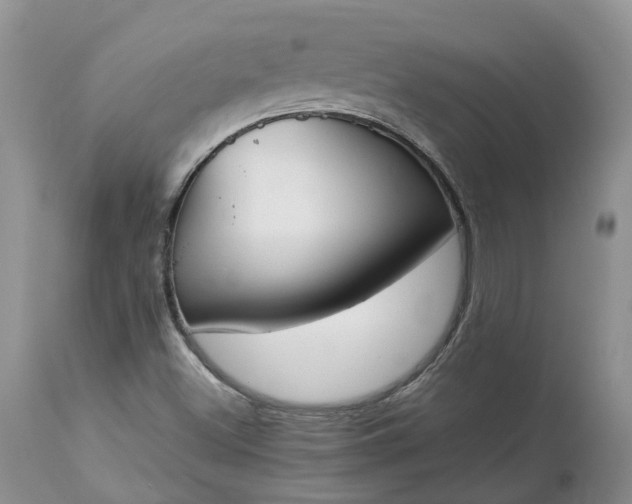 X0000113351500200909291041