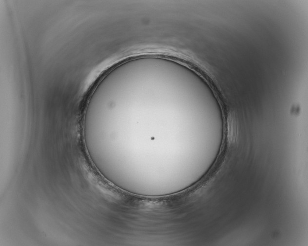 X0000113351501200909291041