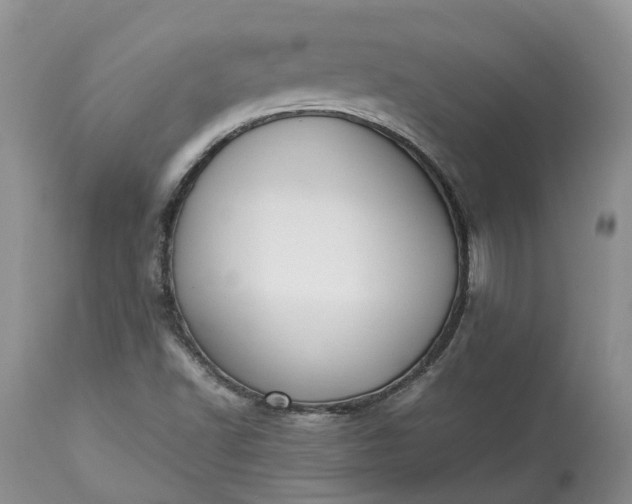 X0000113351502200909291041