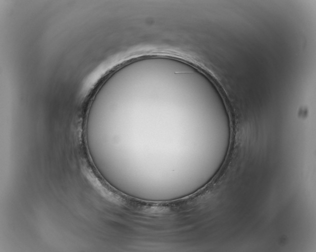 X0000113351503200909291041