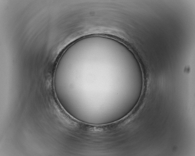 X0000113351505200909291041
