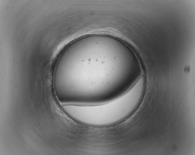 X0000113351506200909291041