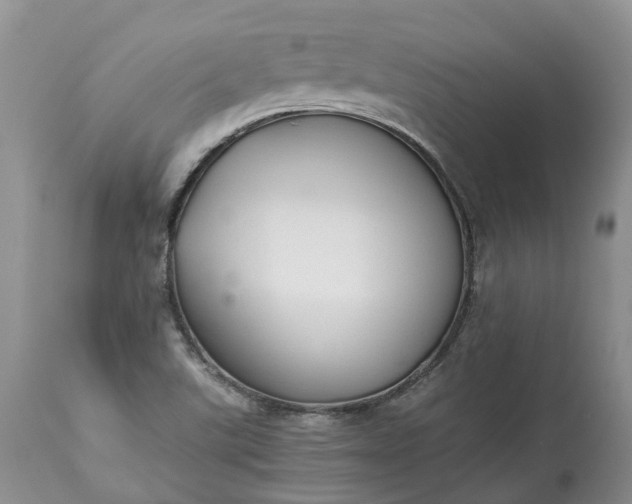 X0000113351507200909291041