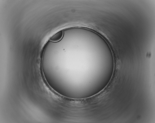 X0000113351508200909291041