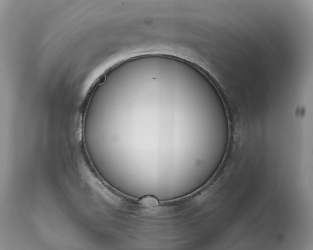 X0000113351510200909291041