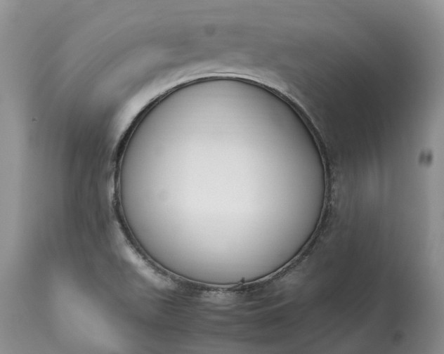 X0000113351511200909291041