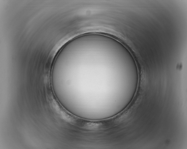 X0000113351513200909291041