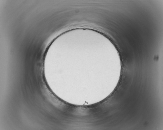 X0000113351514200909291041