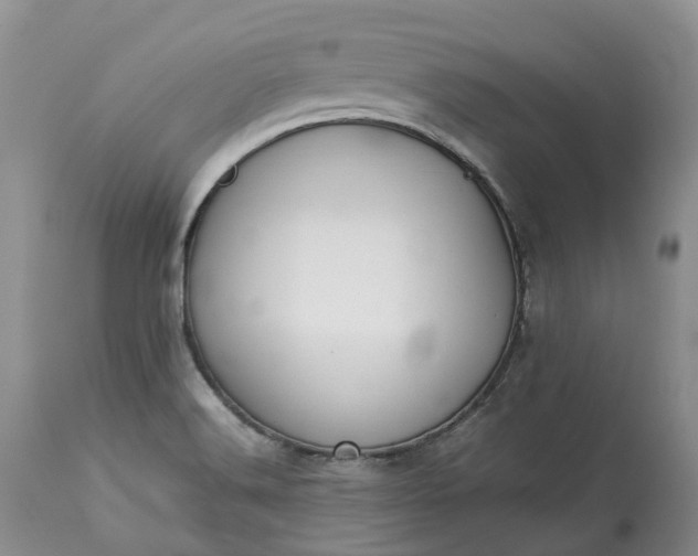 X0000113351516200909291041