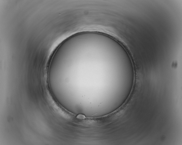 X0000113351517200909291041