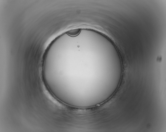 X0000113351518200909291041