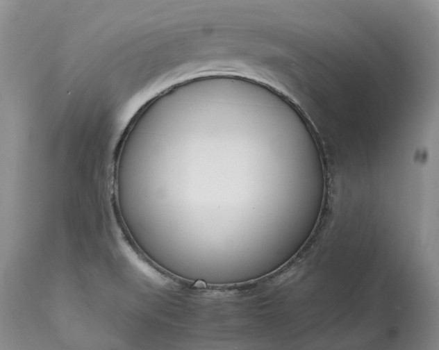 X0000113351519200909291041