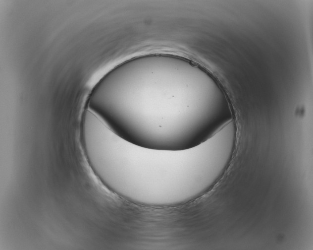 X0000113351520200909291041