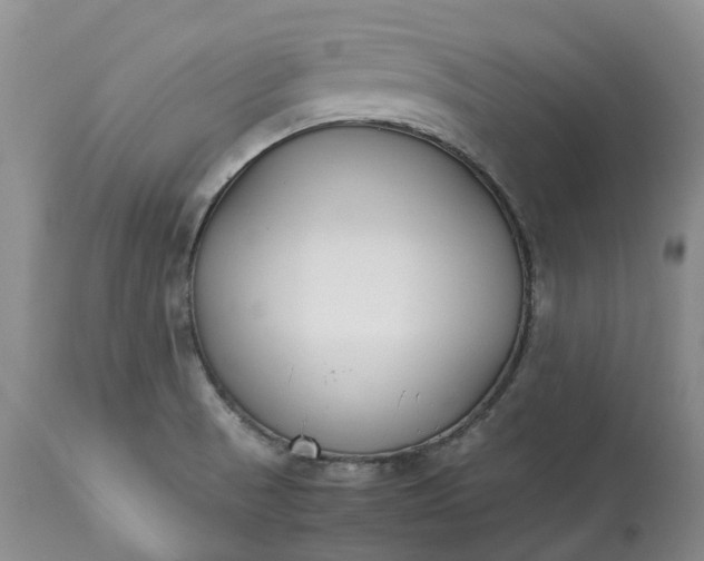 X0000113351521200909291042