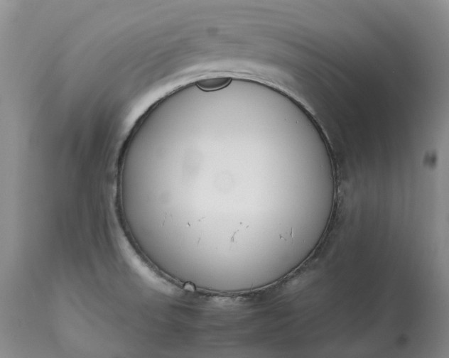 X0000113351523200909291042