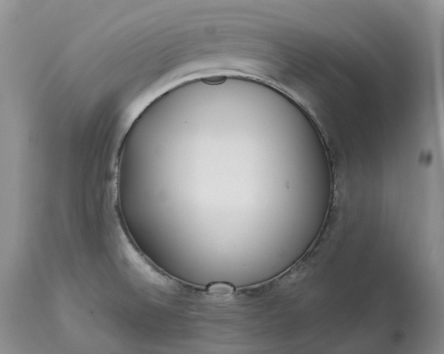 X0000113351524200909291042