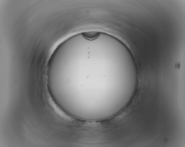 X0000113351526200909291042