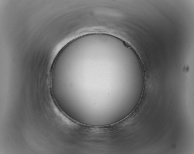 X0000113351527200909291042