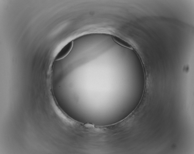 X0000113351528200909291042